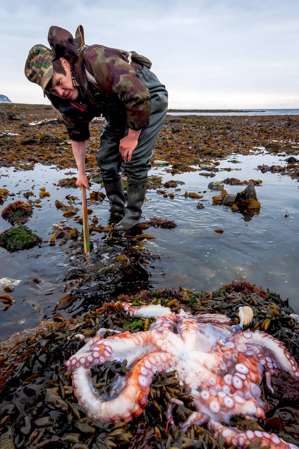 , Дмитрий Уткин