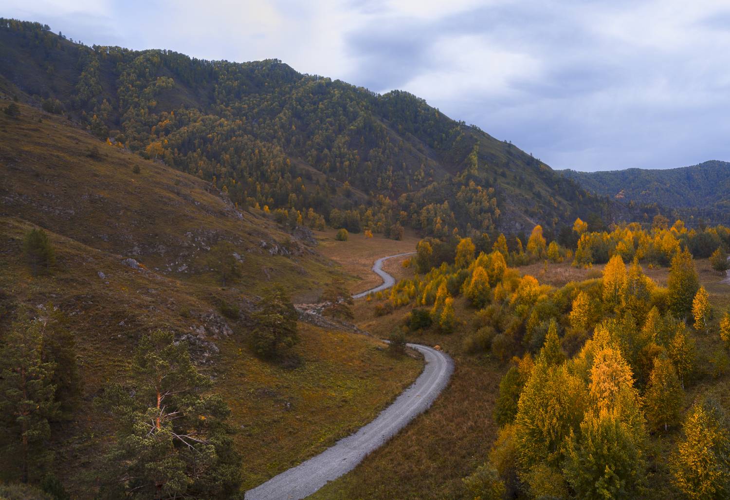 россия, горный алтай,осень,утро, Андрей Поляков