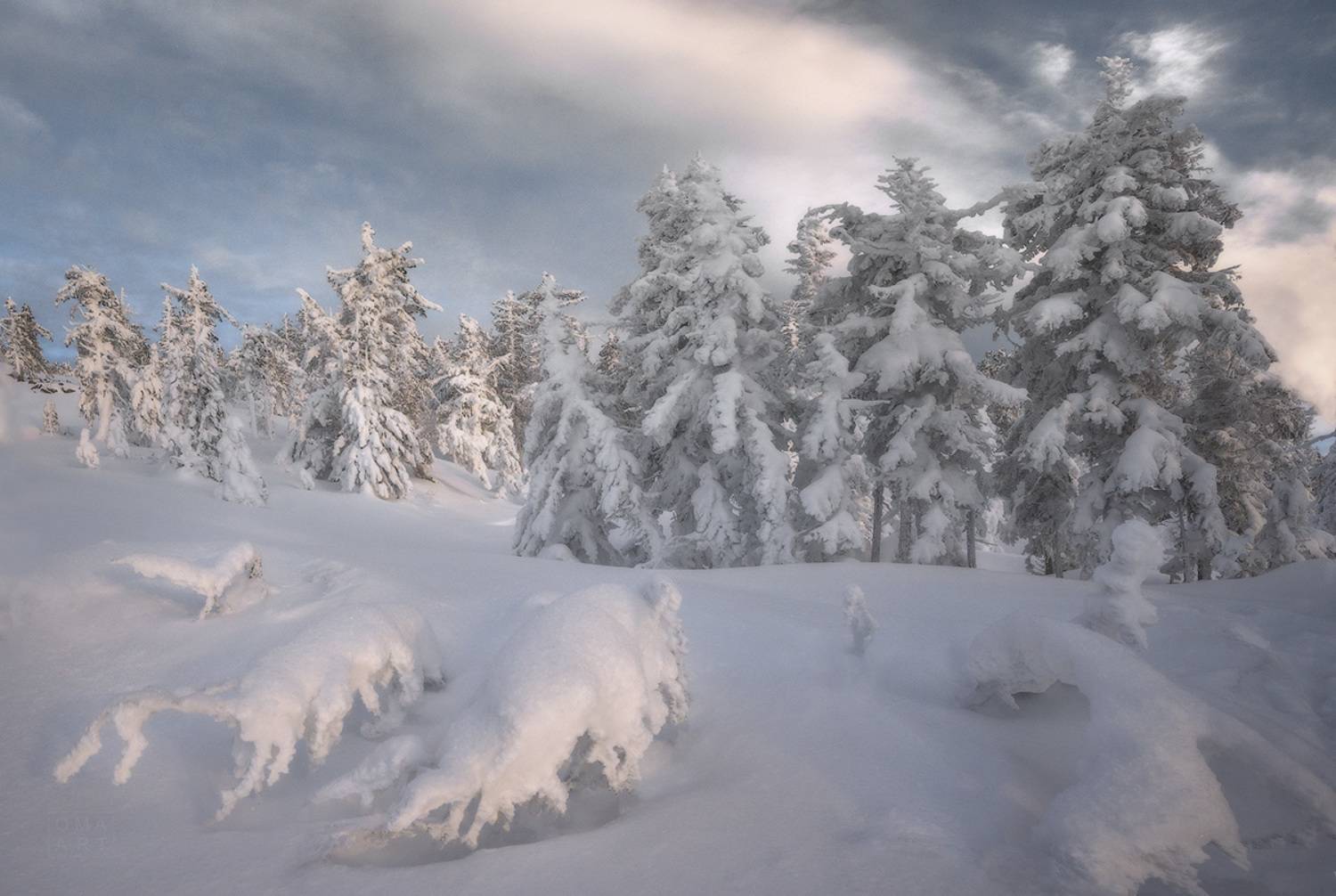 аргыджек, зима, красноярский край, сибирь, манский район, снег, Марина Огнева