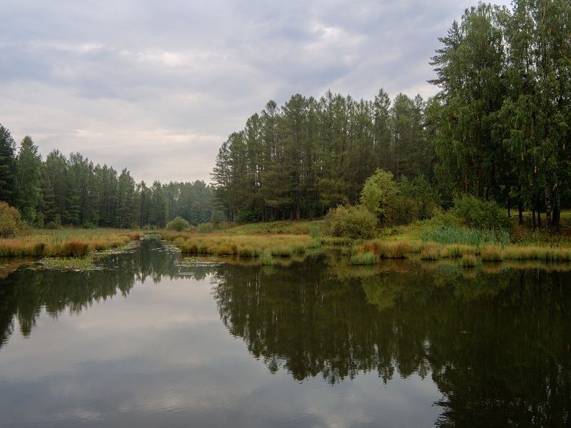 пейзаж, осень, лес, приток, небо, облака Приток фото превью