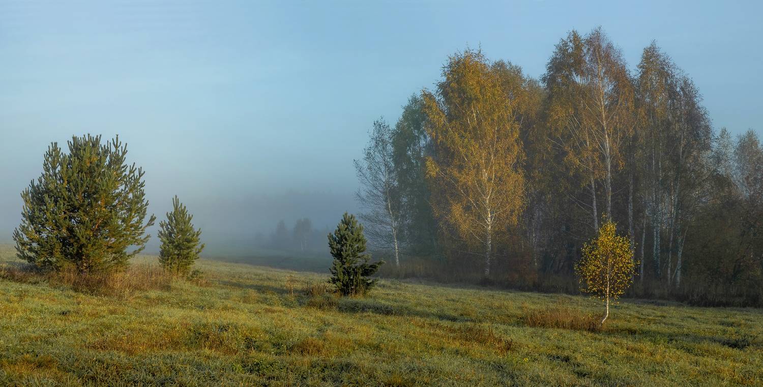 , Алексей Хахлов