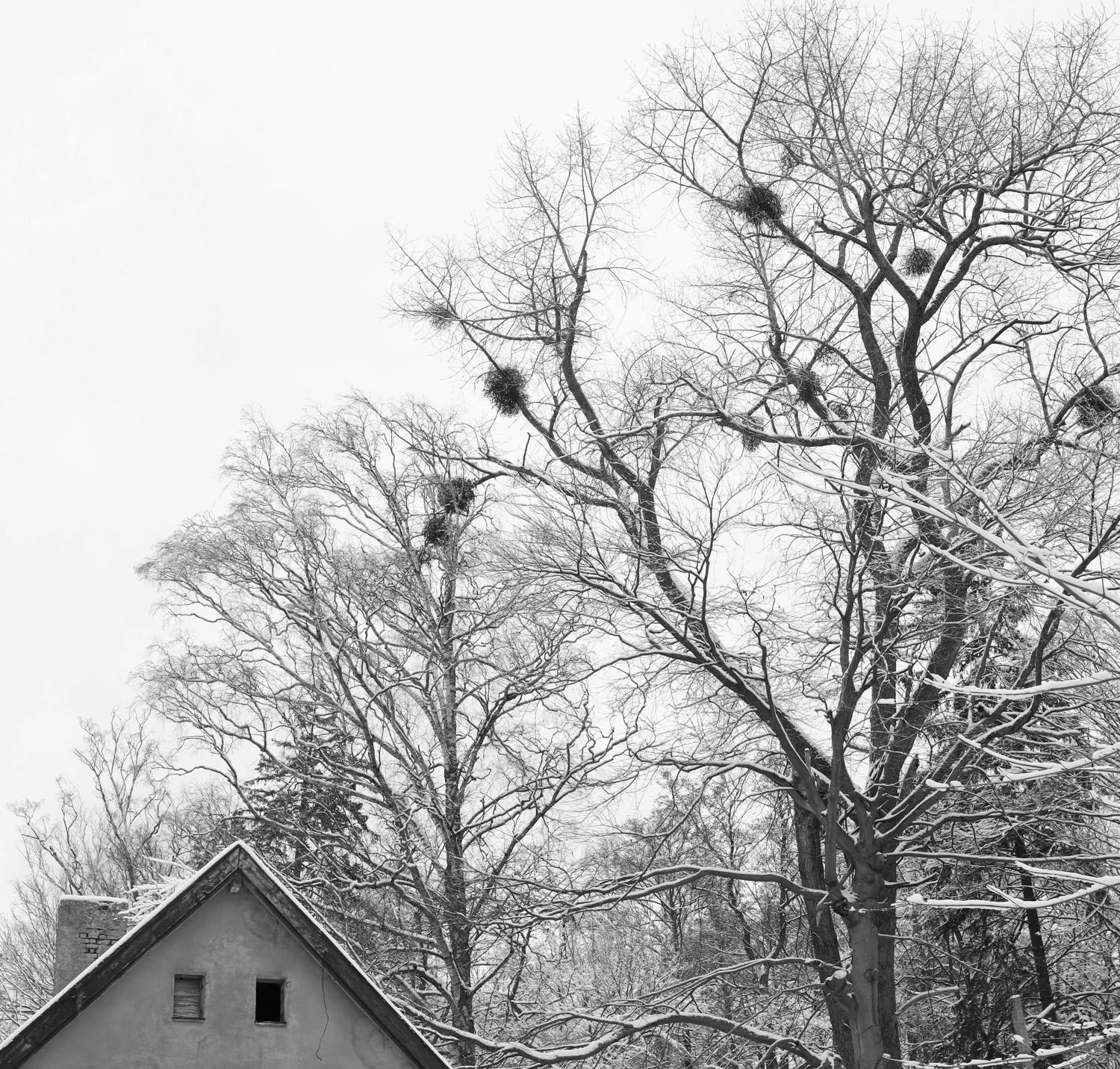 , Колосова Елена