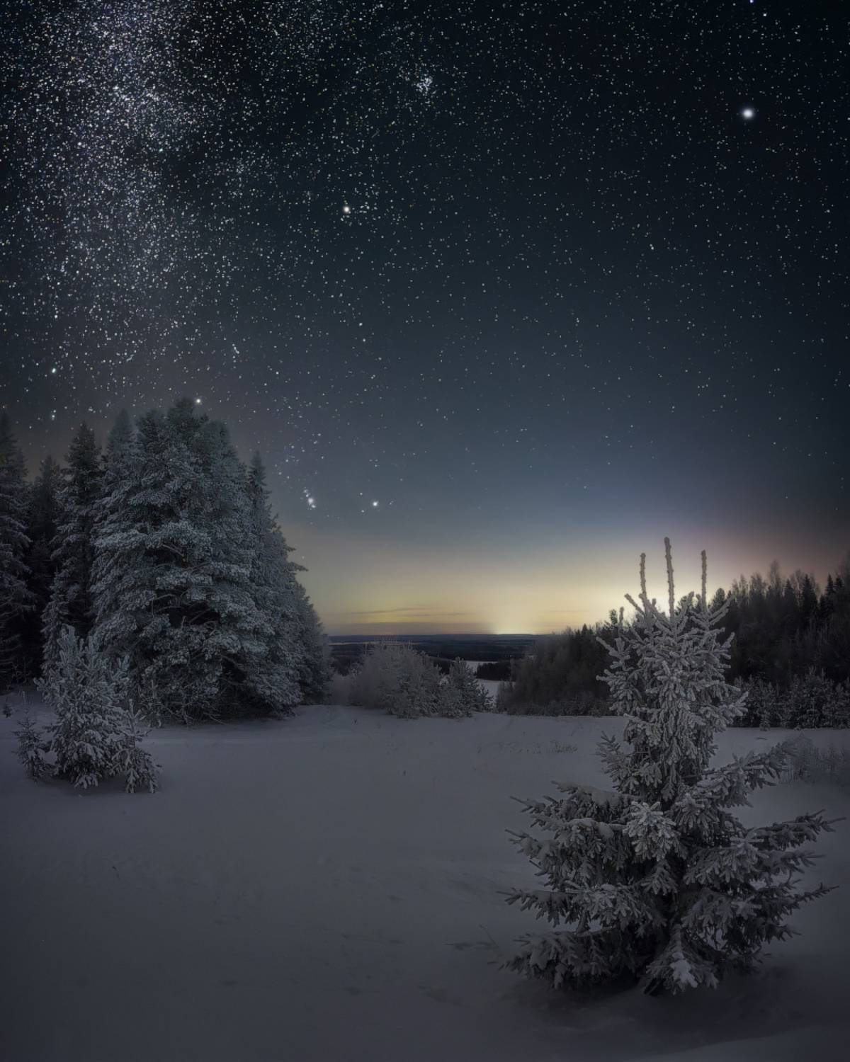 , Dmitry Medyancev