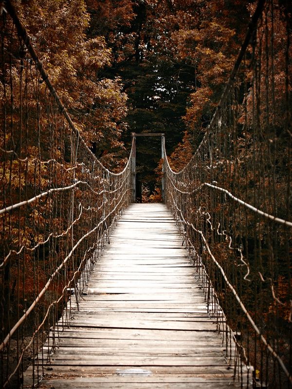 Suspension bridge фото превью