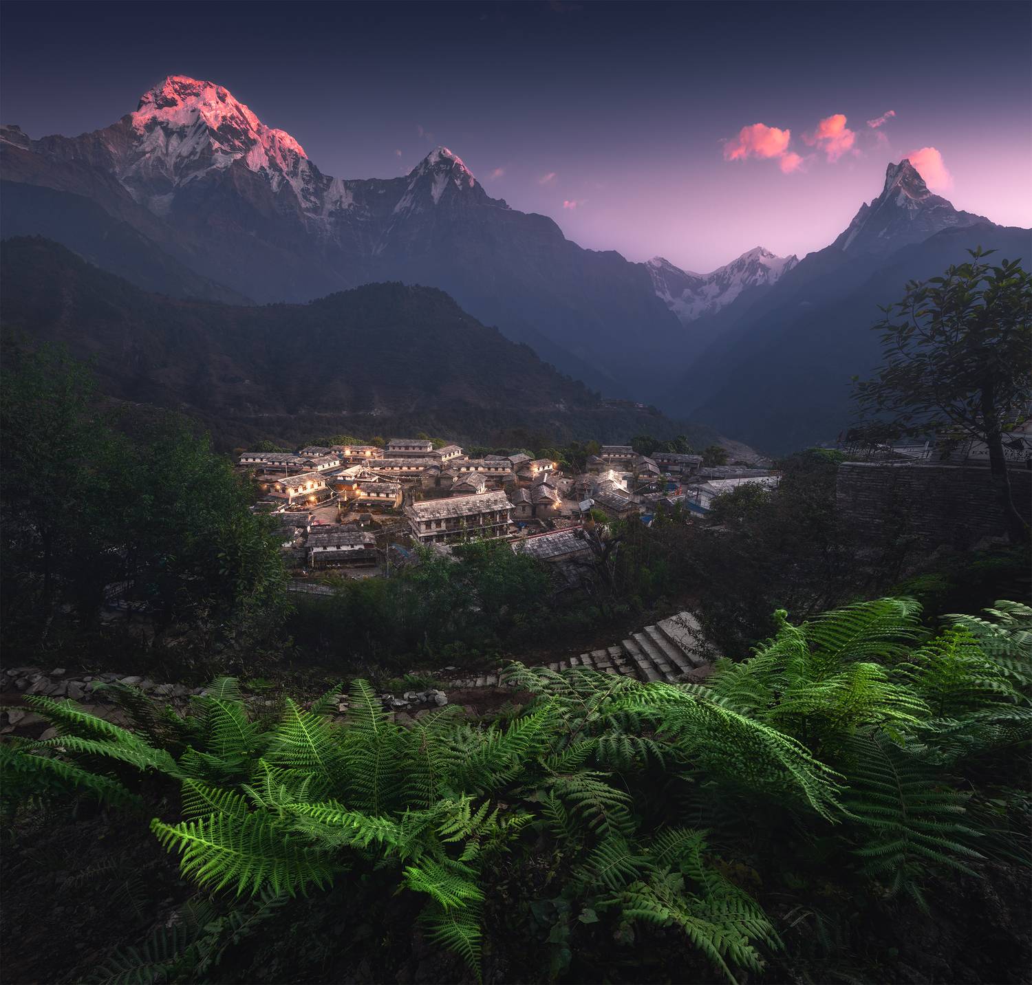 , Политова Анна