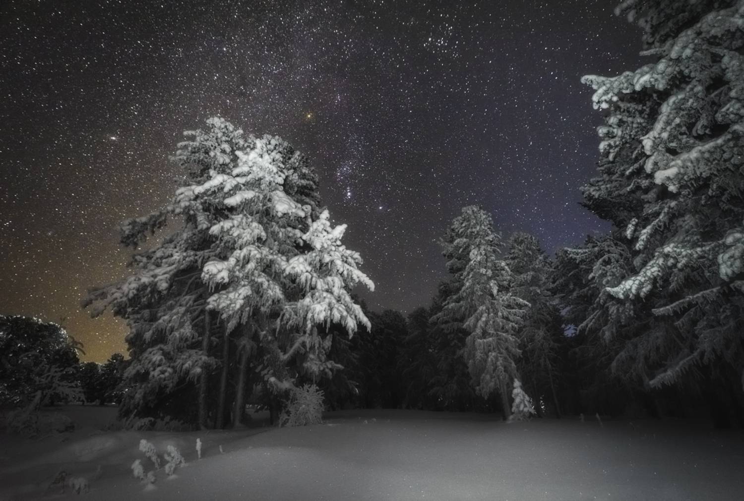 алтай, горный алтай, пейзажи алтая, кедр, кедровый лес, зимний пейзаж, зимняя ночь, зима, зимний алтай, горная тайга, онгудайский район, кедрач, звездное небо, Рубан Алена