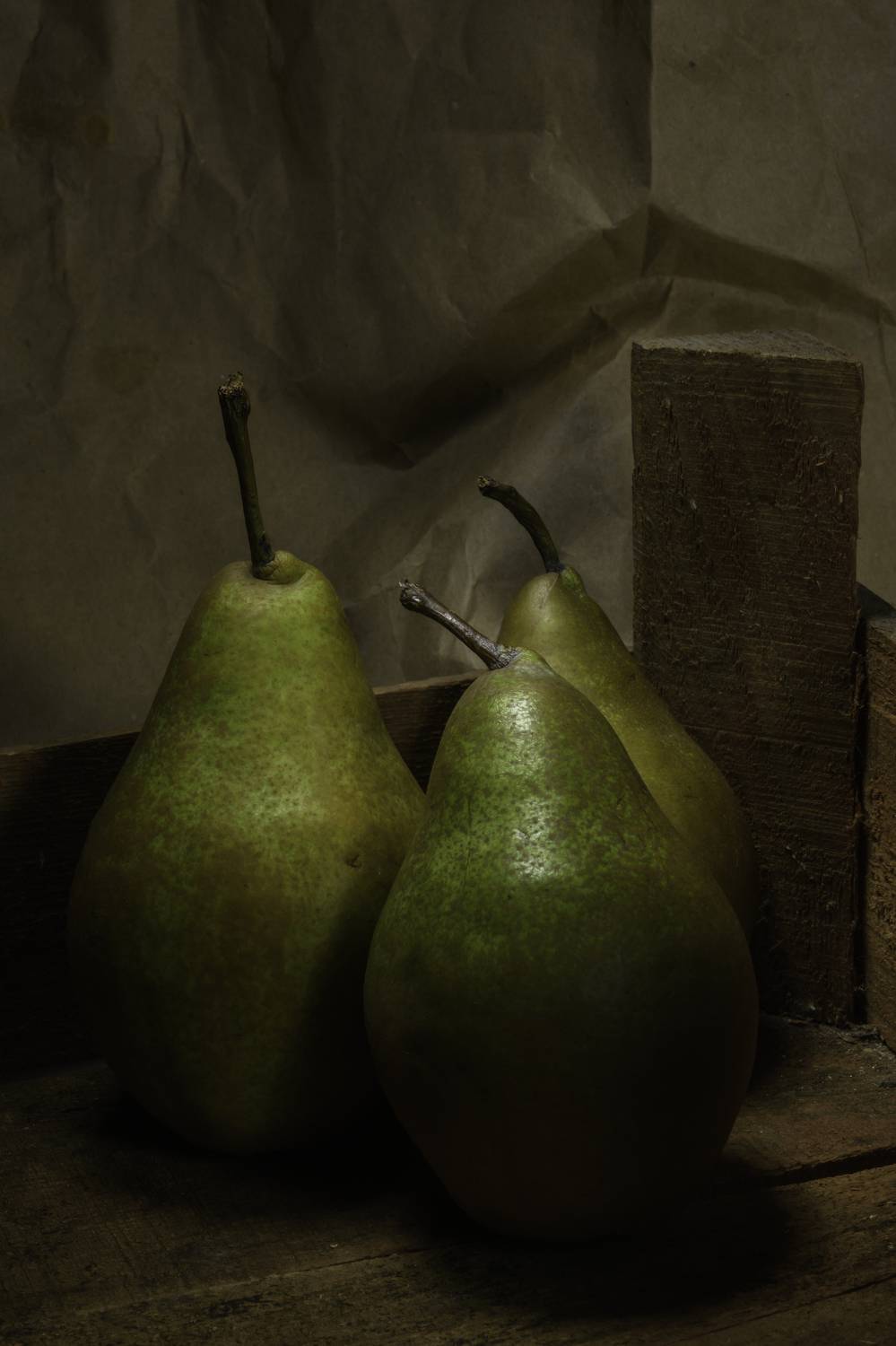 ,  Светослав Радков