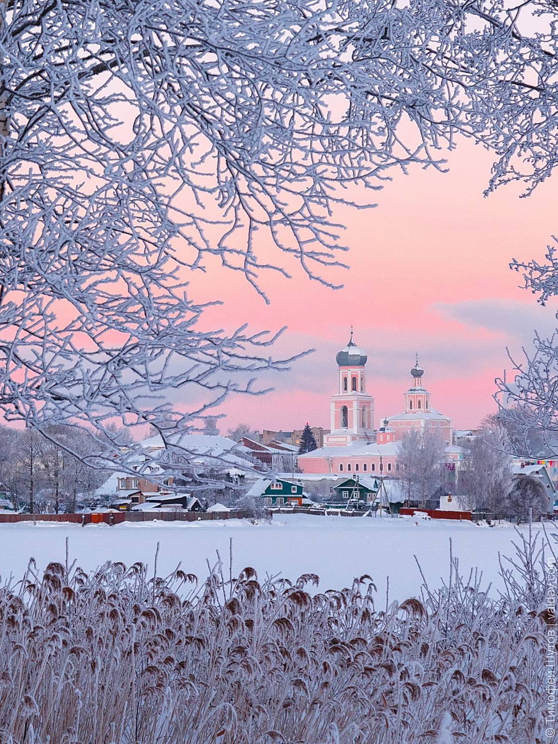 валдай, Timothy Shutov