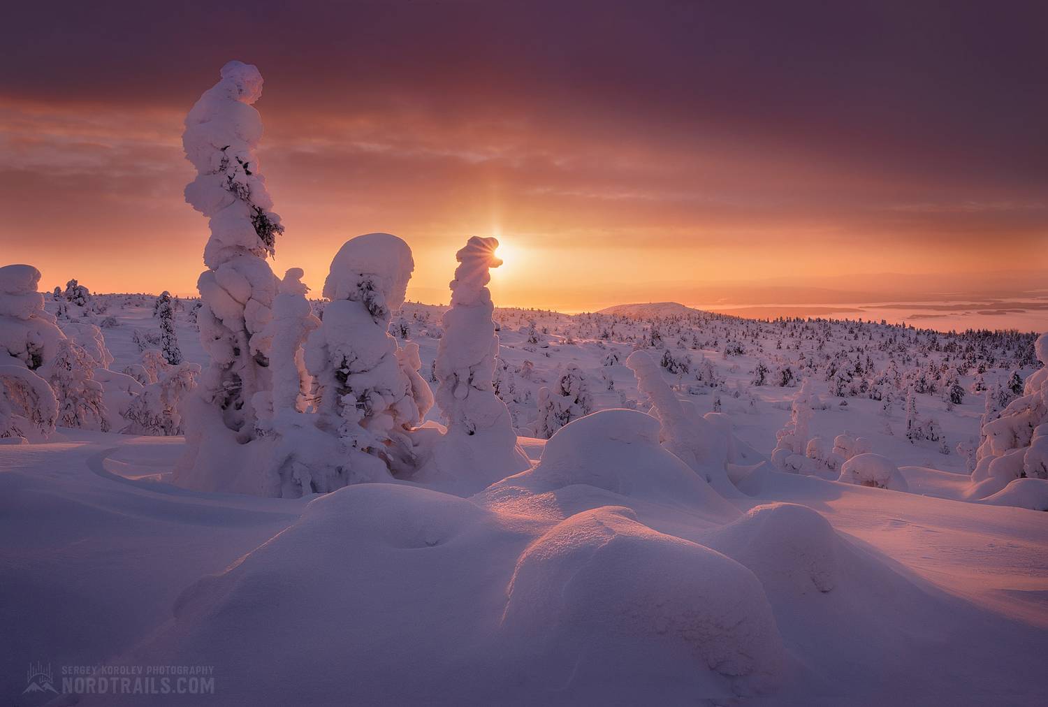 , Сергей Королев