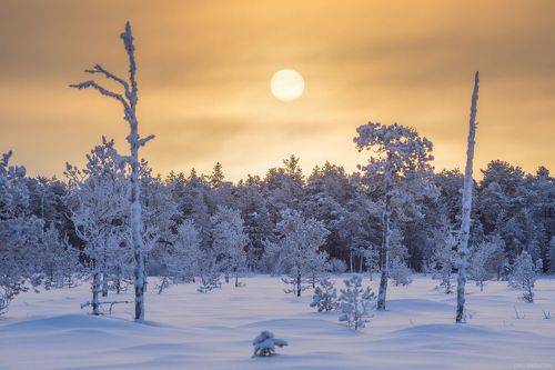 Заледеневший север
