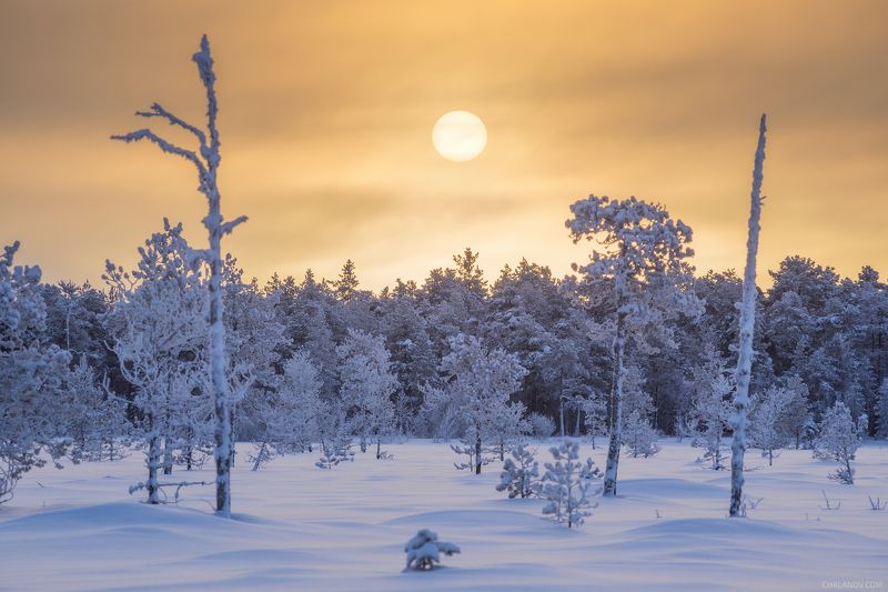 Заледеневший север фото превью