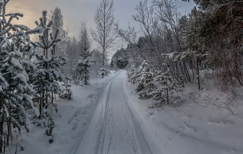 Зимняя дорога. фото превью
