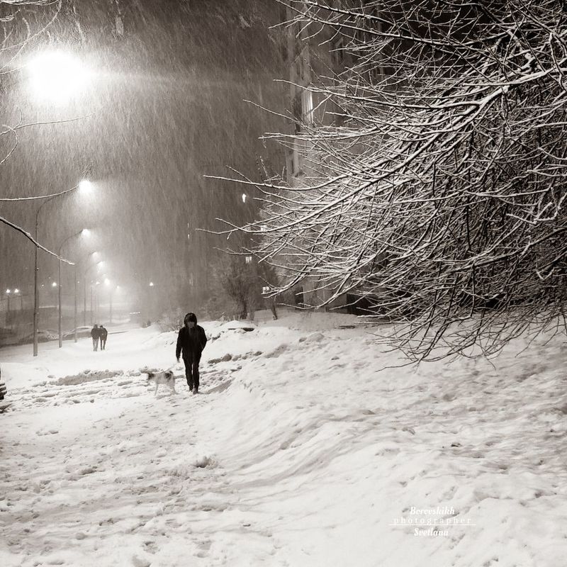 пейзаж, природа,зима, stritphoto , чб_фото, в_стиле_кенна В городе зима... фото превью