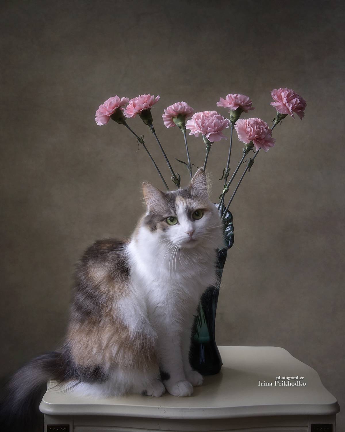 котопортрет, цветы, кошки, букеты, домашние питомцы, Приходько Ирина