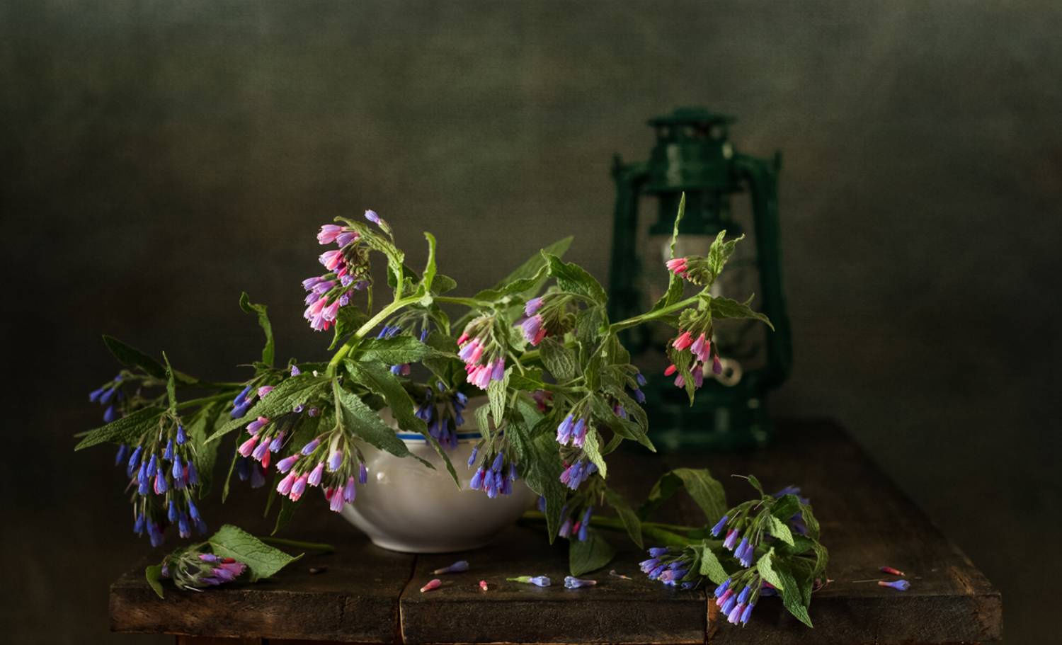 натюрморт, цветы, Оля