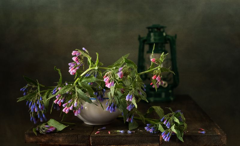 натюрморт, цветы Весенние цветы фото превью