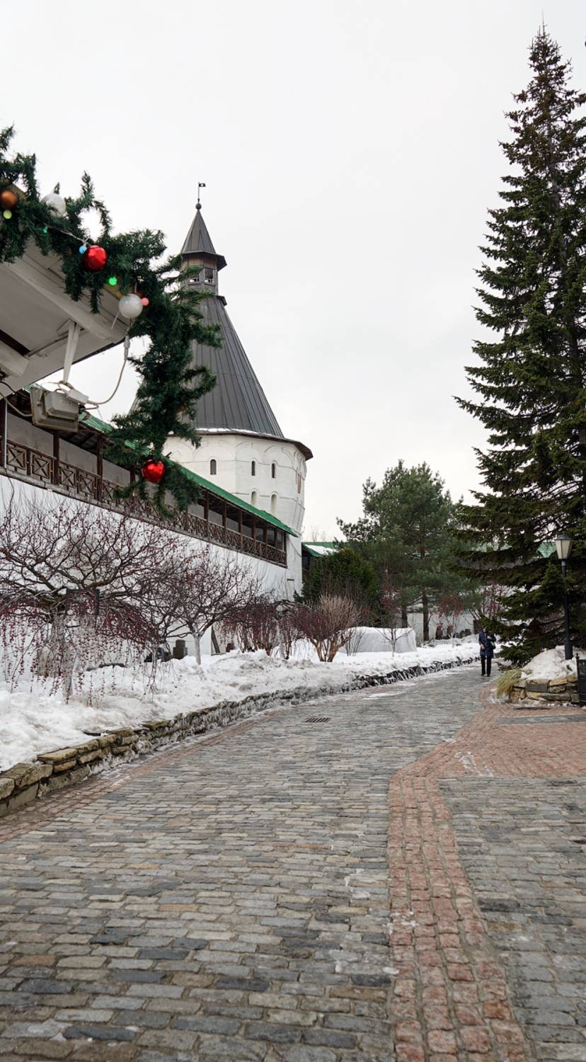 , Ольга Новикова