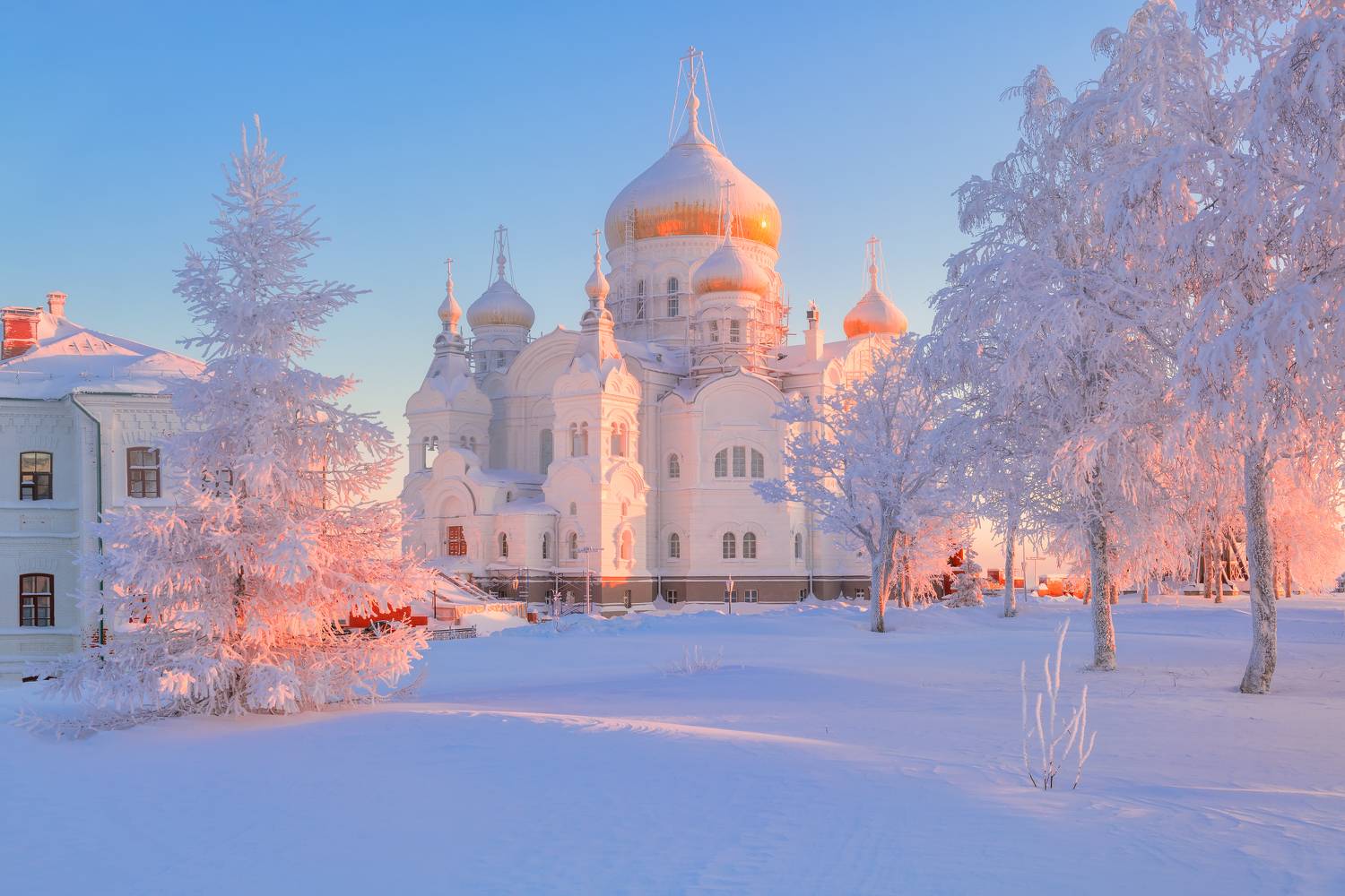 , Максим Евдокимов