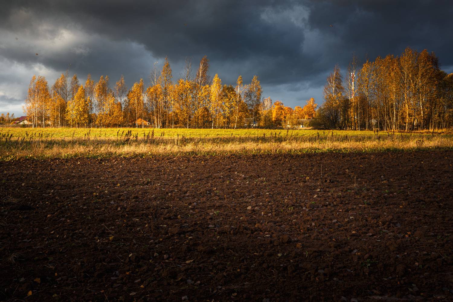 Торбеево, Зеленько Дмитрий