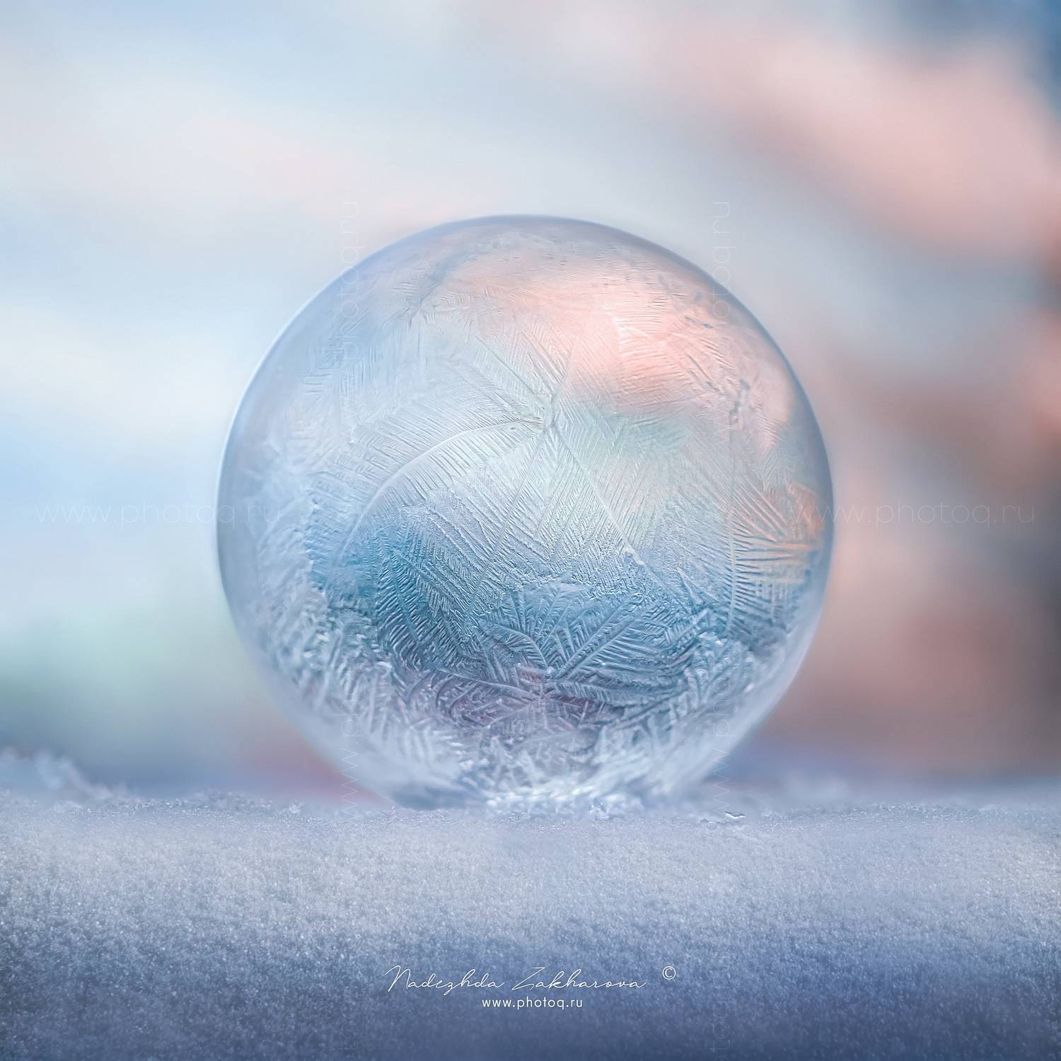 , Захарова Надежда