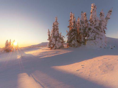Геометрия зимнего утра