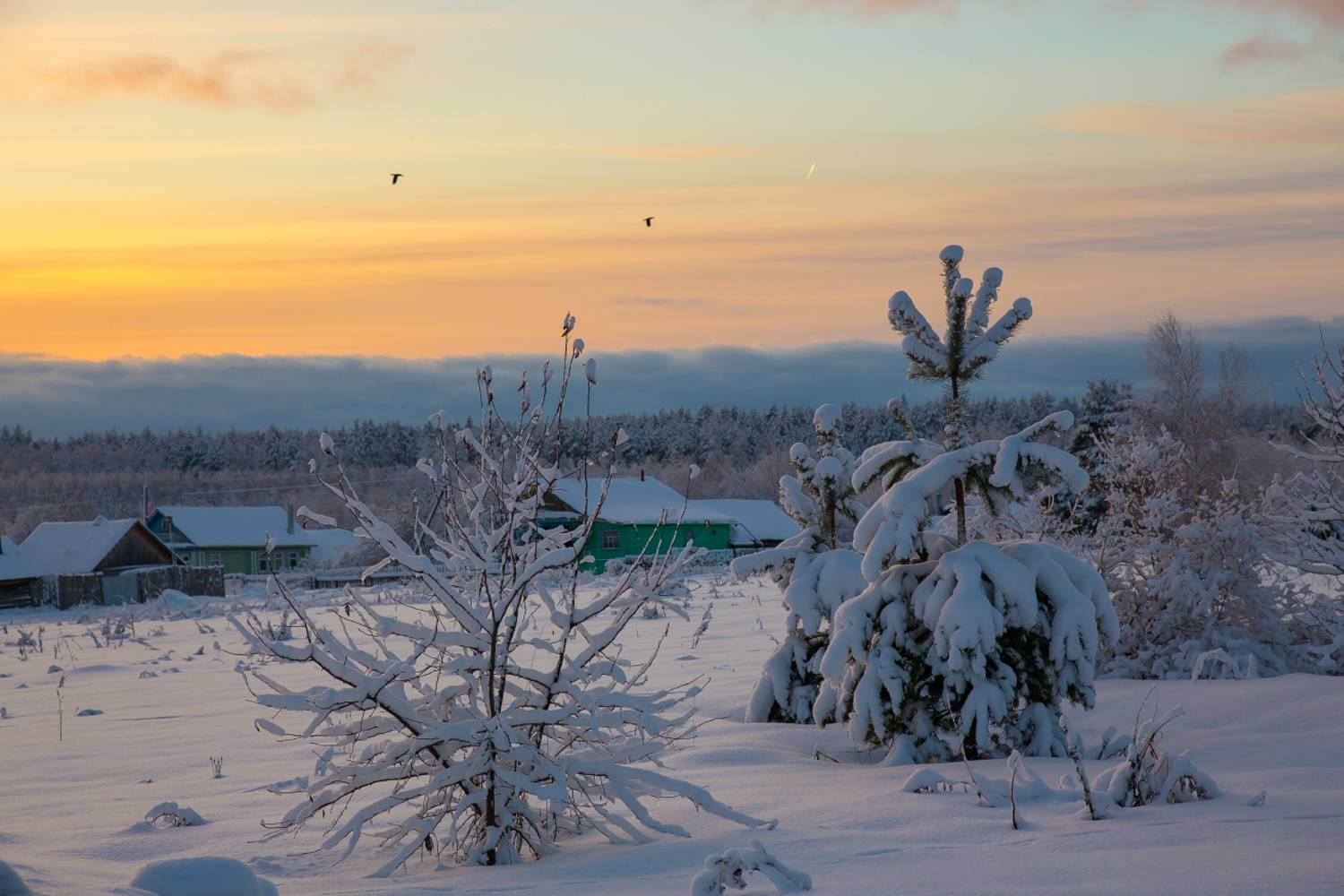 январь серково закат снег мороз, Дмитрий Алексеев