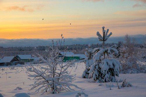 Морозный закат. Старое Серково.