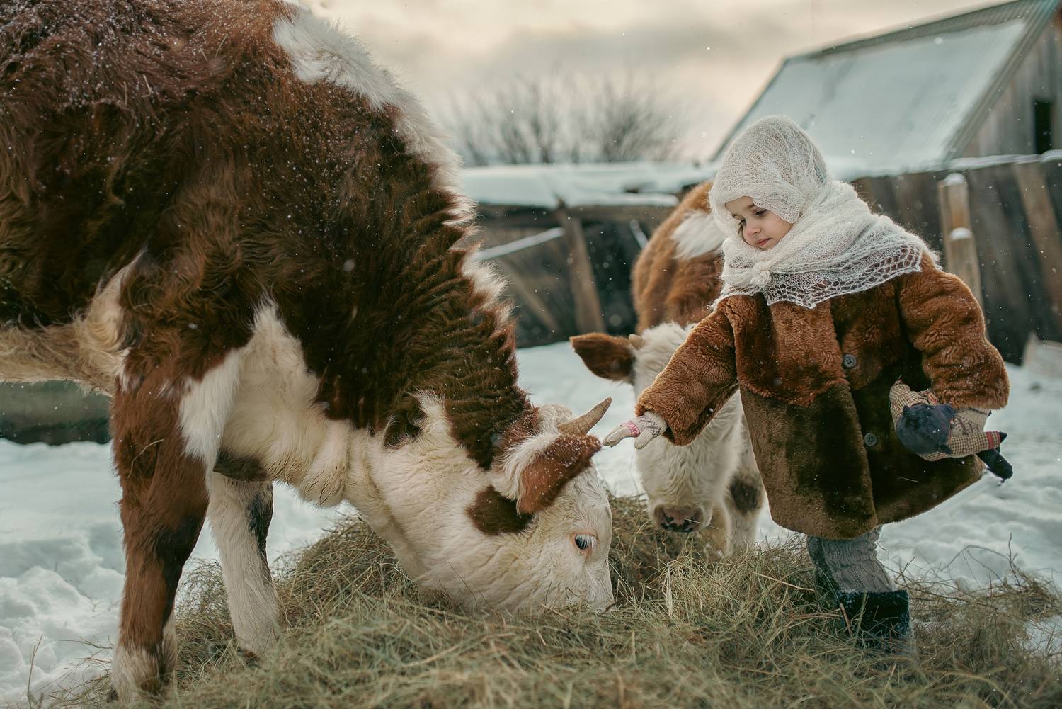 , Раевская Елена