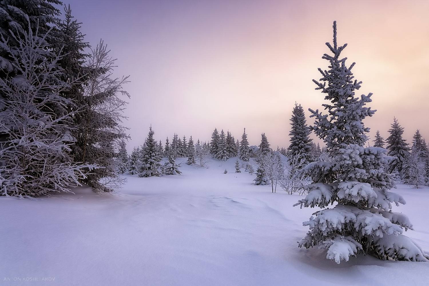 , Антон Кошетаров