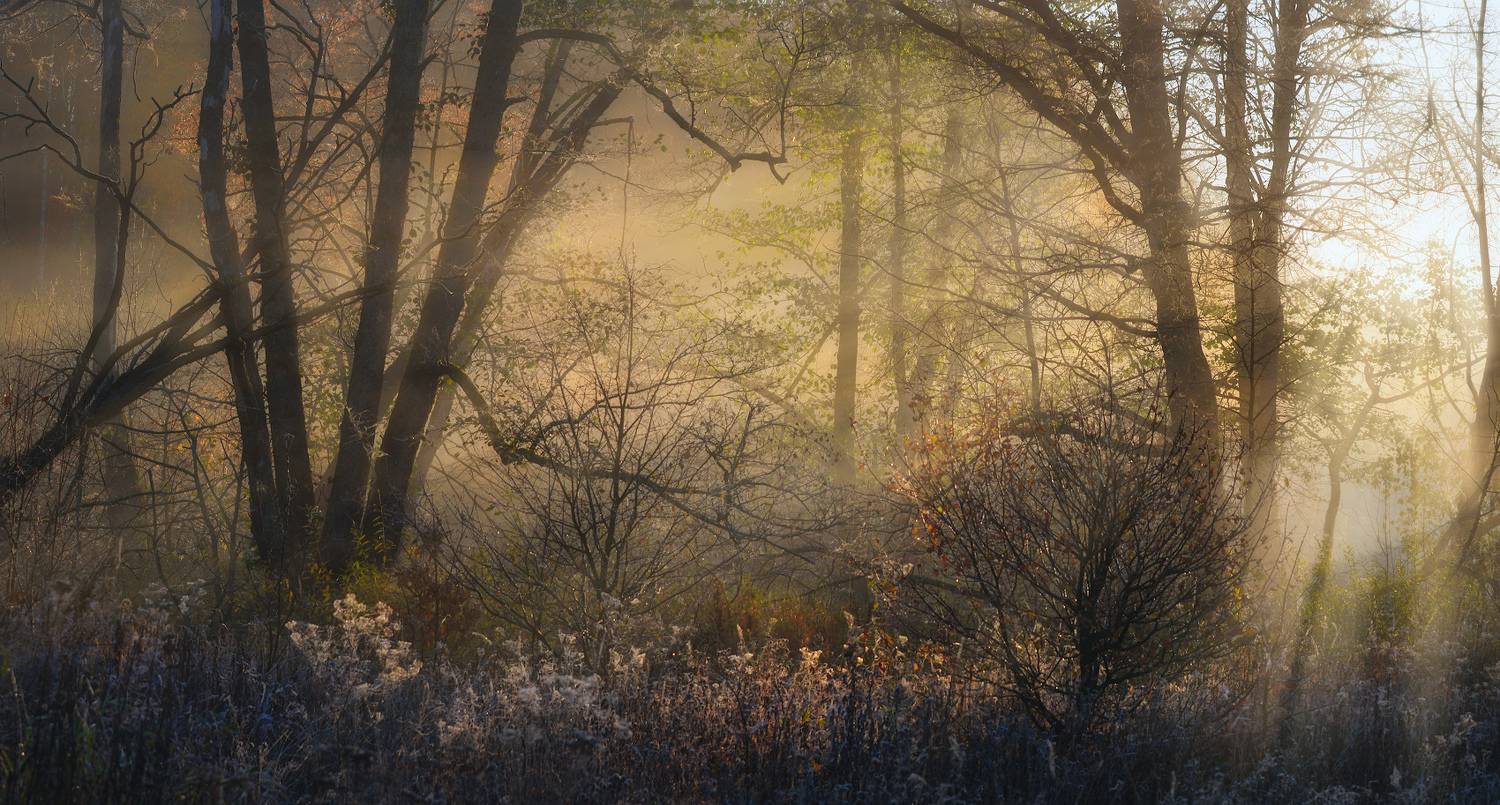 тула, ясная поляна, воронка, Сергей Кочергин