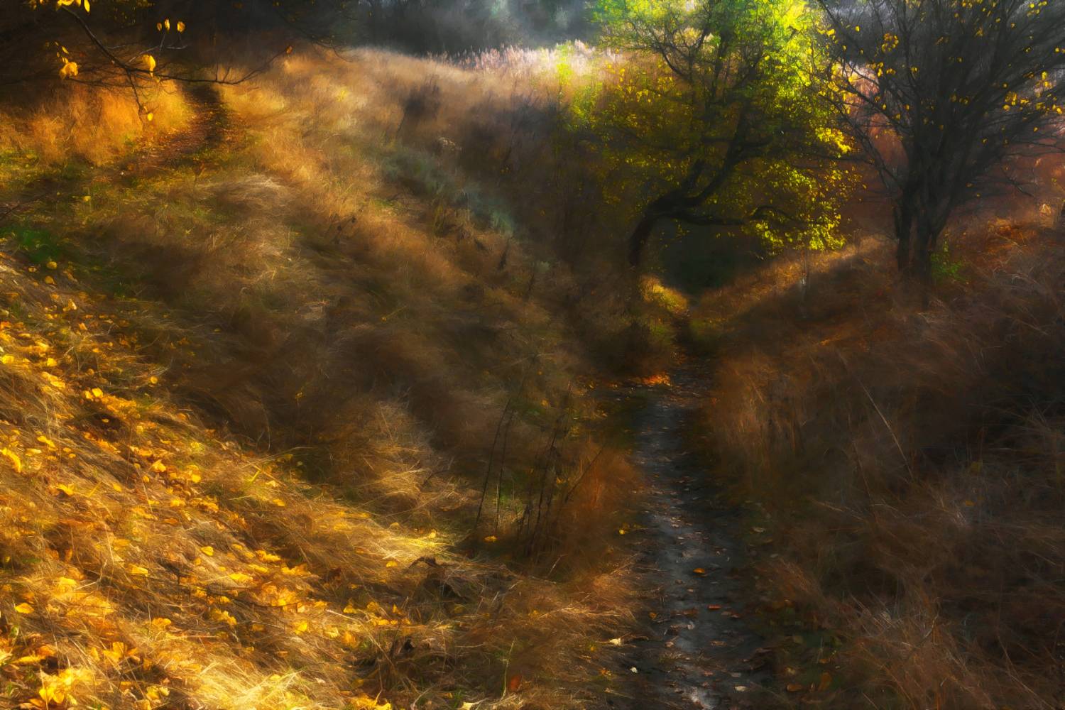 , Лысенко Сергей