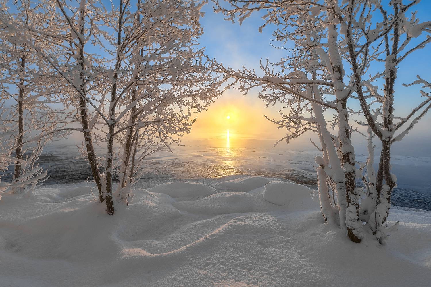 , Александр Пашеничев