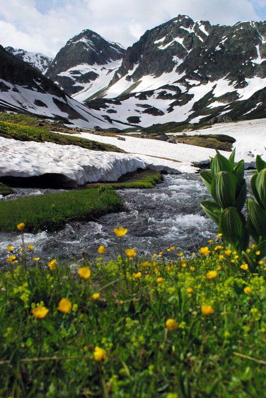 Весенняя долина ... фото превью