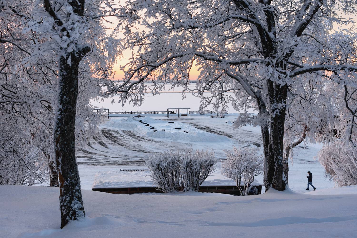 зима иней мороз снег деревья река вечер город архангельск, Вера Ра