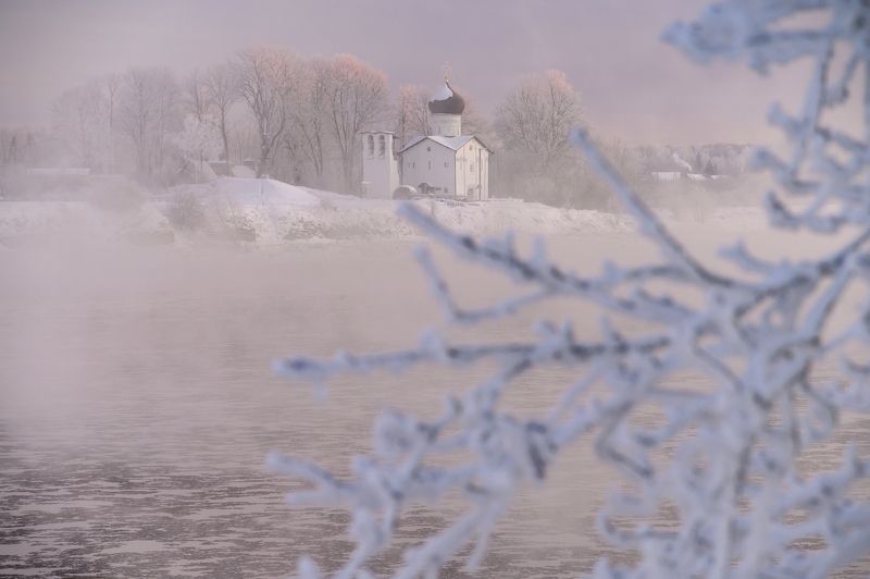 Выбуты фото превью