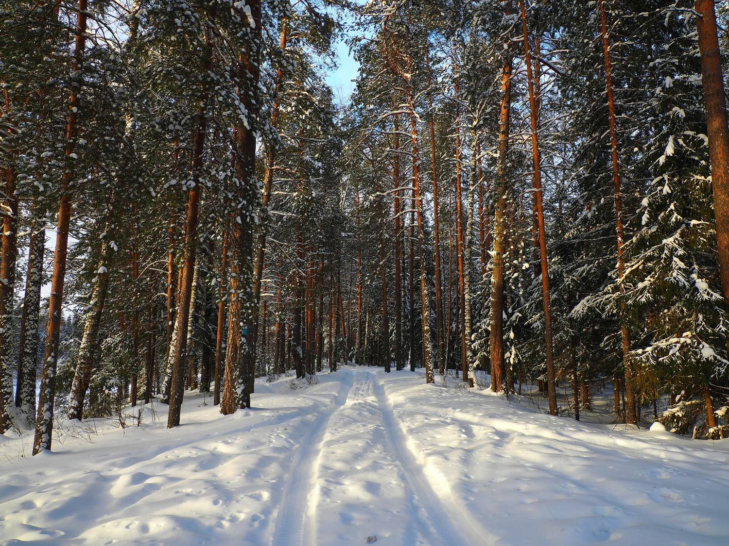 зима, PERESHEIN ANDREY