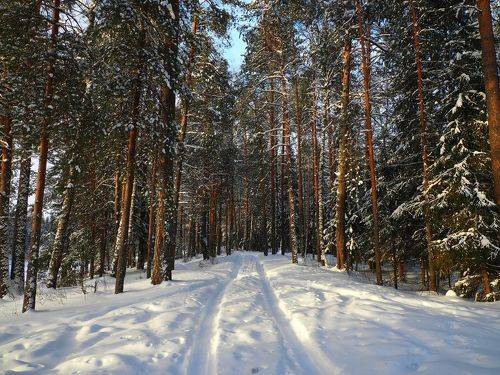 Январь - полдень