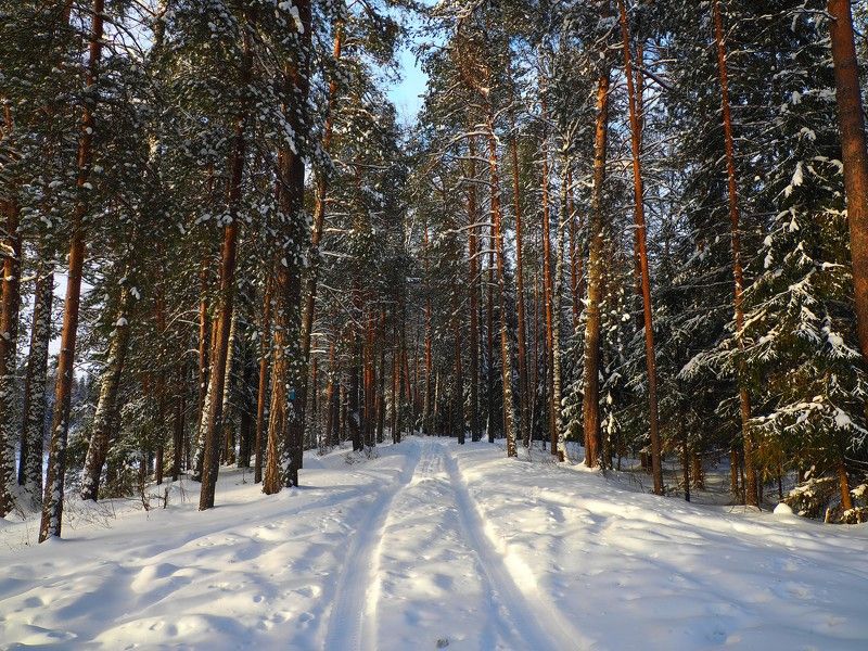 Январь - полдень фото превью
