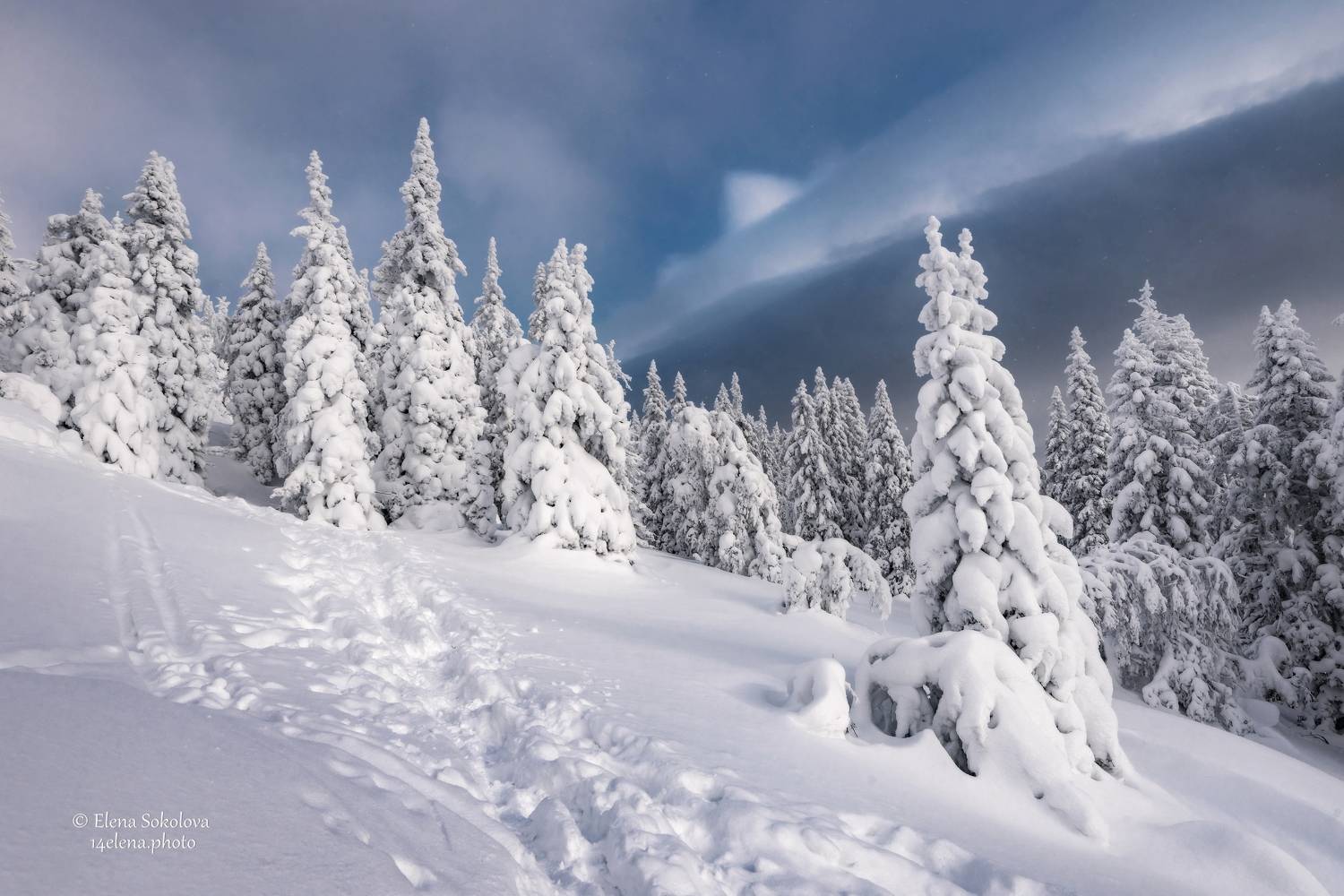 уреньга, пейзаж, горы, хребет, лес, зима, сказка, снег, Соколова Елена