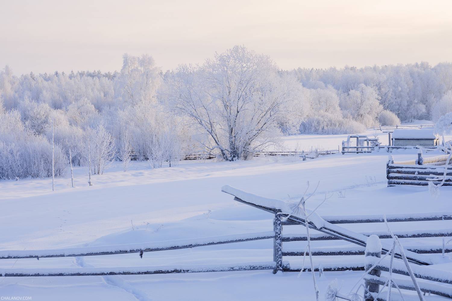 пейзаж, зима, снег, лес, деревья, landscape, woodland, winter, snow, sunset, мороз, коми, закат, frozen, komi, иней, Чаланов Иван