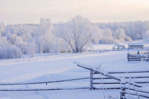 В королевстве инея
