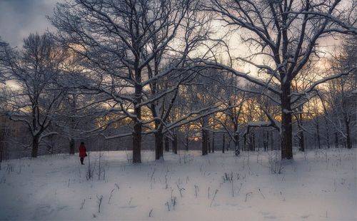 Холодный январь