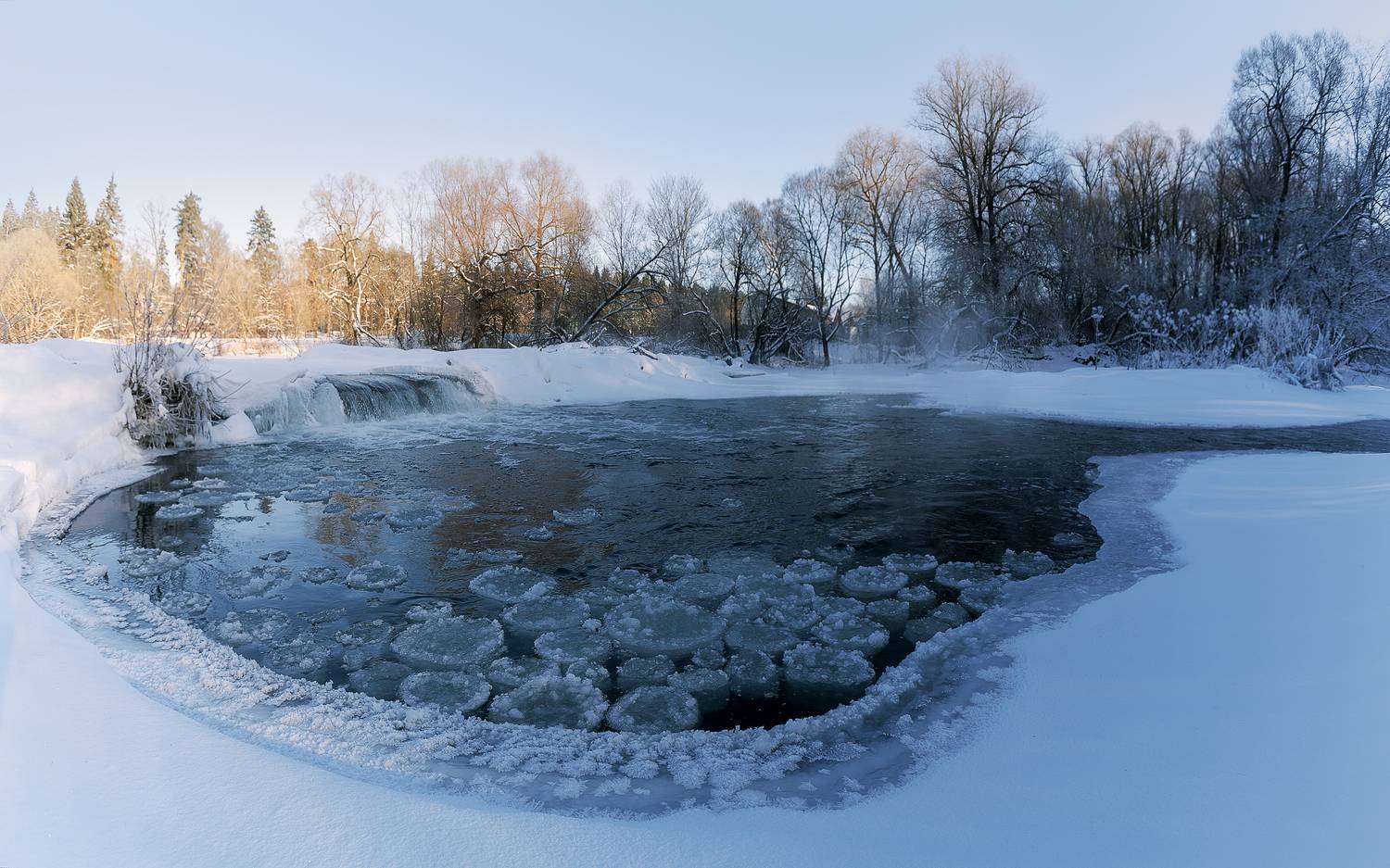 , Загруев Михаил