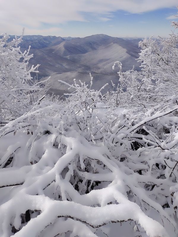 *** фото превью