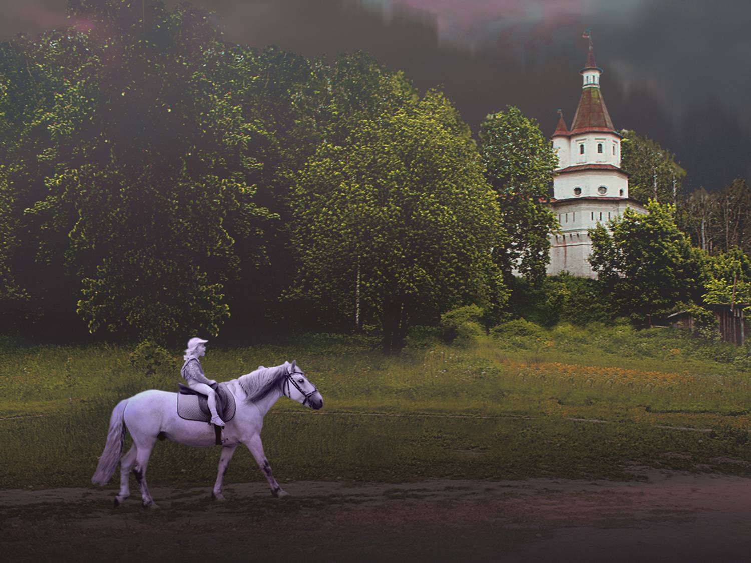 Всадник на белой лошади. Автор: T. Bondarenko , T. Bondarenko