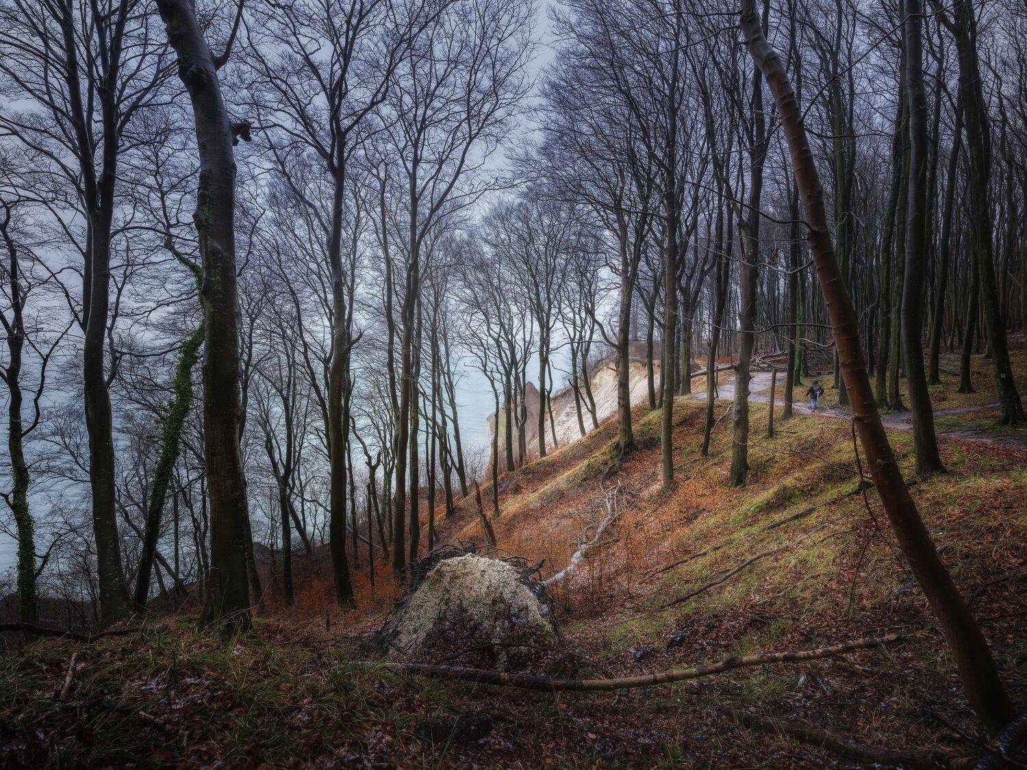 , Михаил Козлов