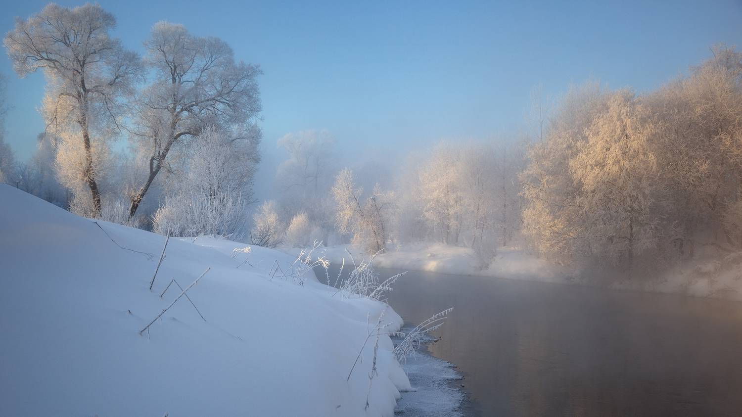 , Стрельчук Александр
