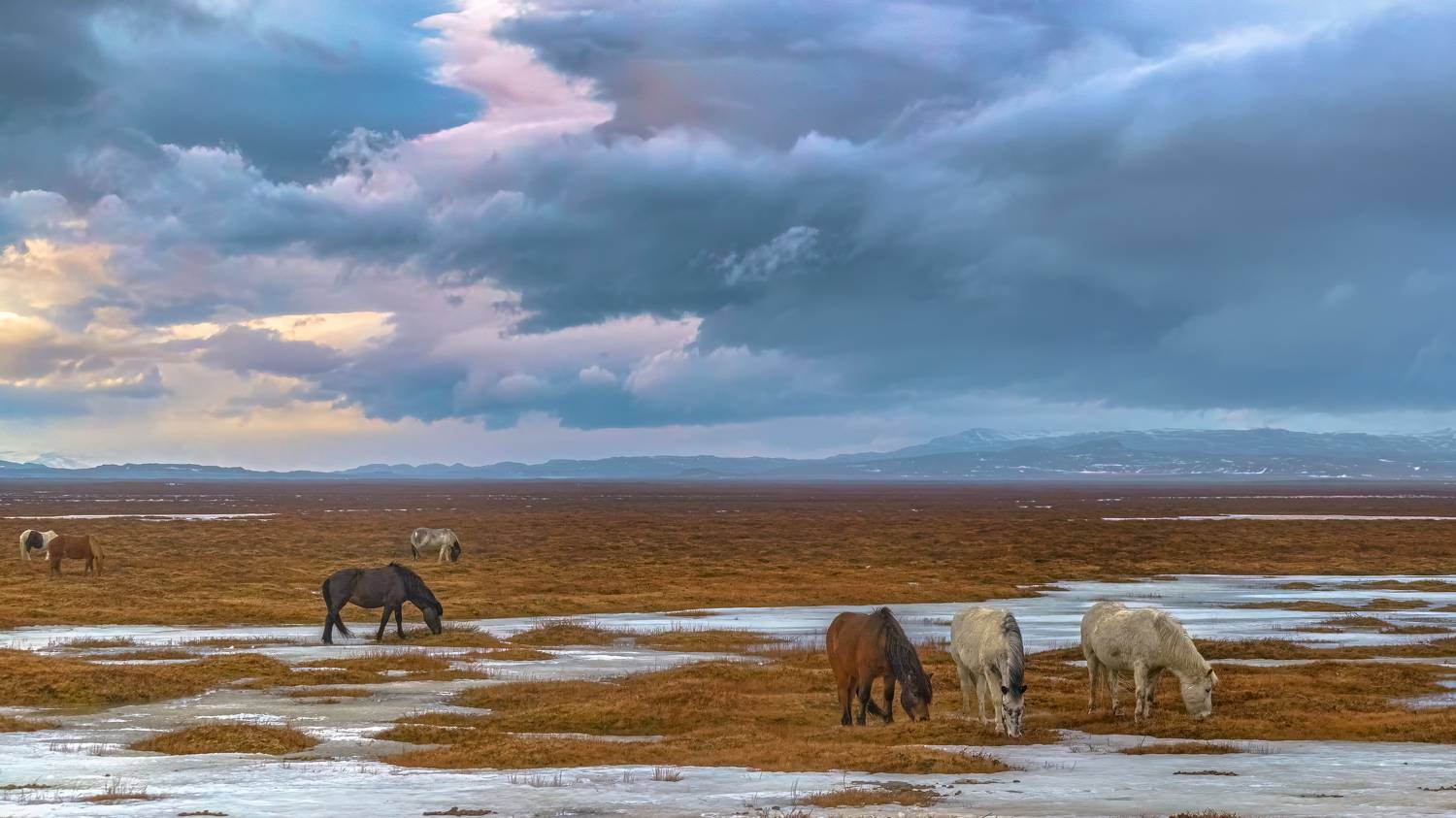 , Шварцман Евгений