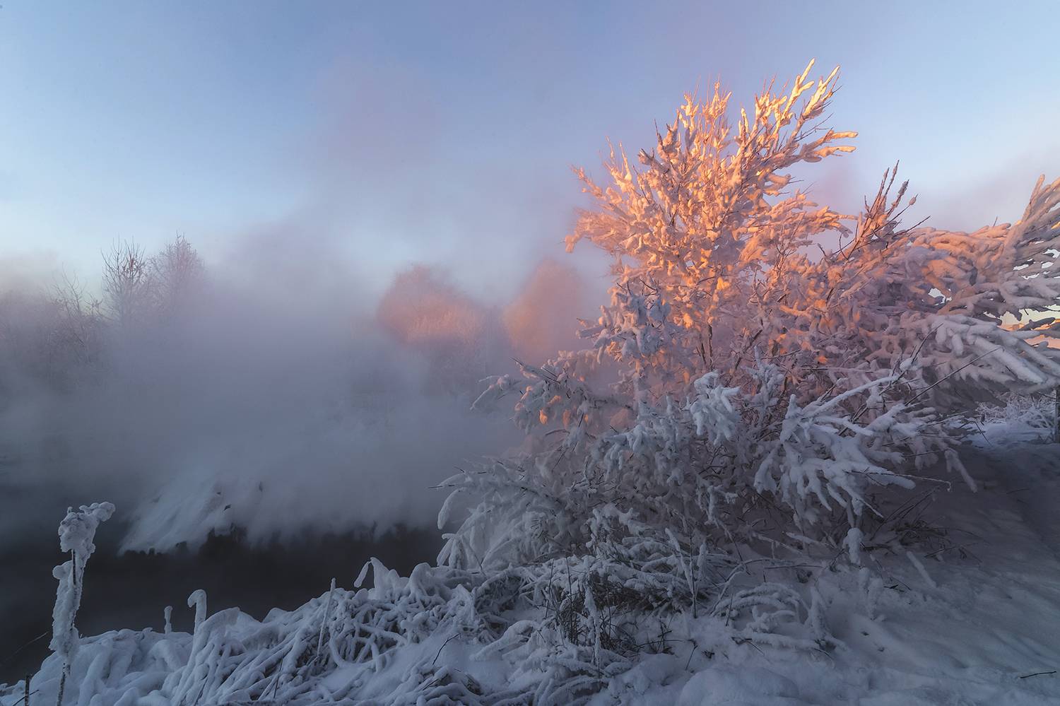 пар, холод, закат, куст, снег, иней., Анкудинов Леонид