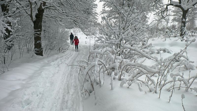 Прогулка после снегопада фото превью